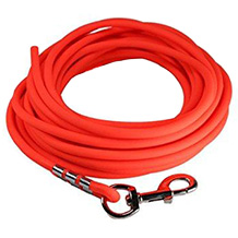 LENNIE correa adiestramiento