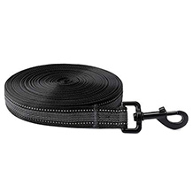 Toozey correa adiestramiento