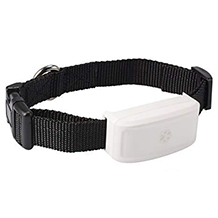 Zeerkeer collar GPS para gatos