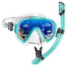 Arlierss kit de snorkel