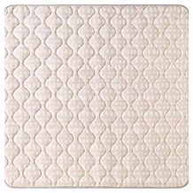 Hakuna Matte alfombra de gateo