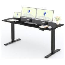 Flexispot escritorio regulable en altura