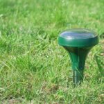 ahuyentador de topos