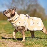 albornoz para perros