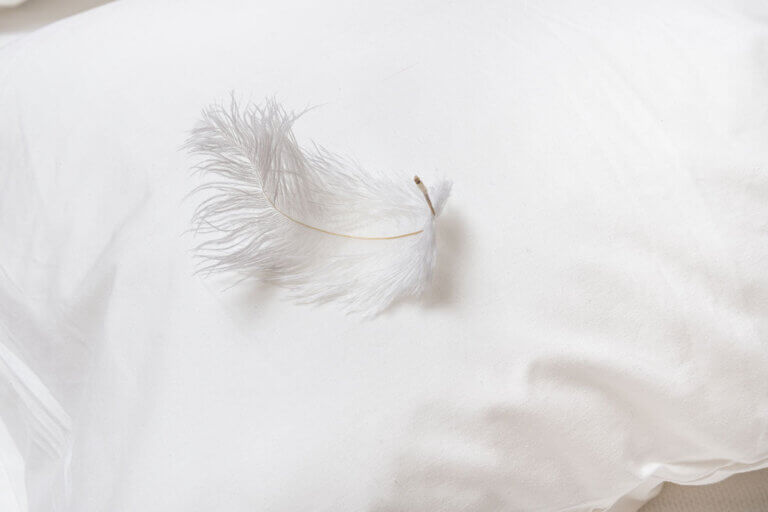 almohada de plumas