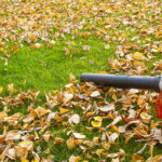 aspirador de hojas de gasolina