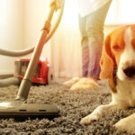 aspiradora para mascotas