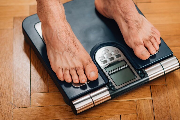 báscula de grasa corporal