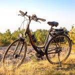 bicicleta de trekking