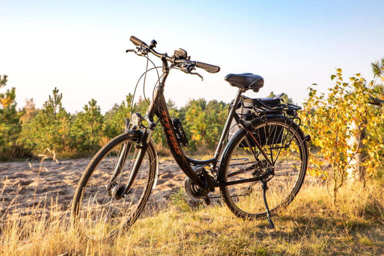 bicicleta de trekking