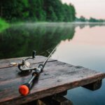 caña de spinning