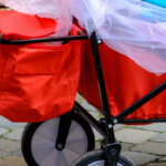 carro de mano plegable