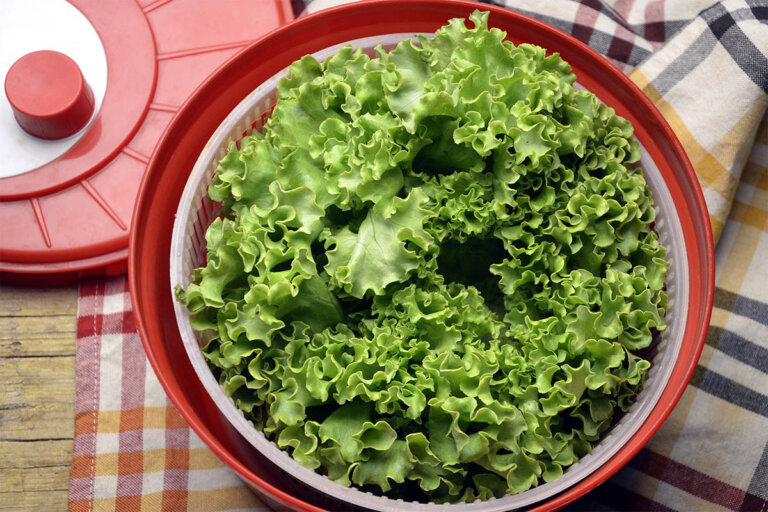 centrifugadora de lechuga