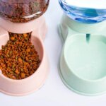 comedero automatico para gatos