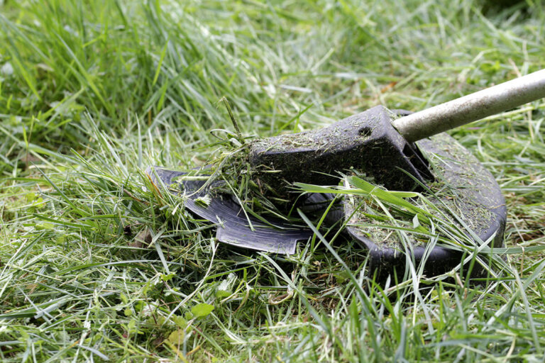 cortabordes eléctrico a batería