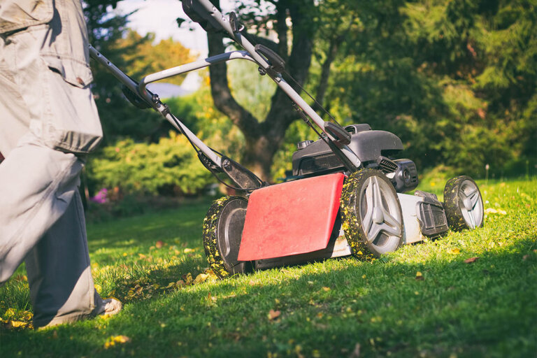 cortacésped con mulching