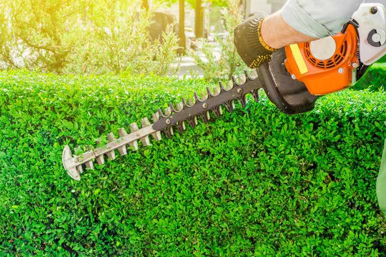 cortasetos a gasolina