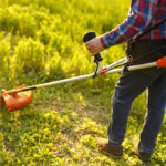 desbrozadora de gasolina