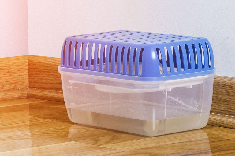 deshumificador gránulo