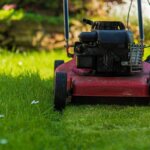 escarificador de gasolina