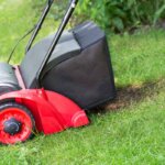 escarificador eléctrico