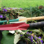 extractor de malas hierbas