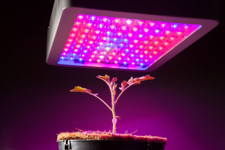 luz para plantas