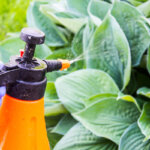 pulverizador a presión