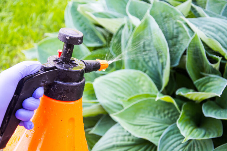 pulverizador a presión