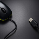 ratón del ordenador