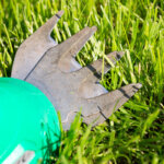 recortadora de bordes del césped