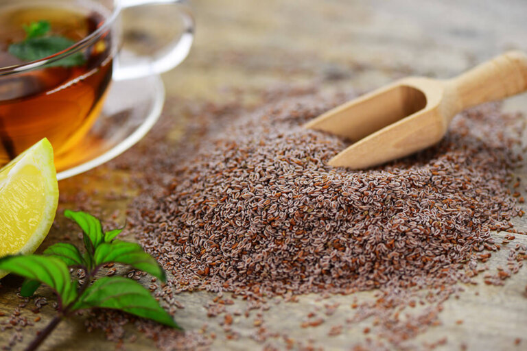 semilla de psyllium