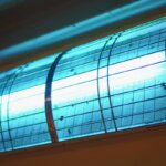 trampa para insectos